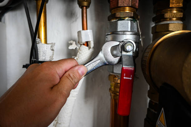 Best Same-Day Plumbing Service  in Rlsbad, CA